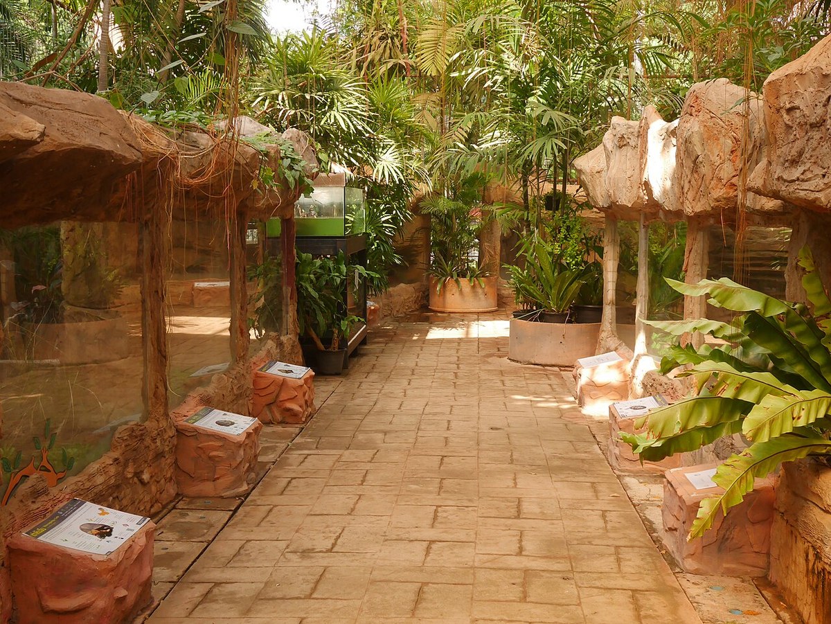 Exhibit walkway and glass display area inside Nakhon Ratchasima Zoo