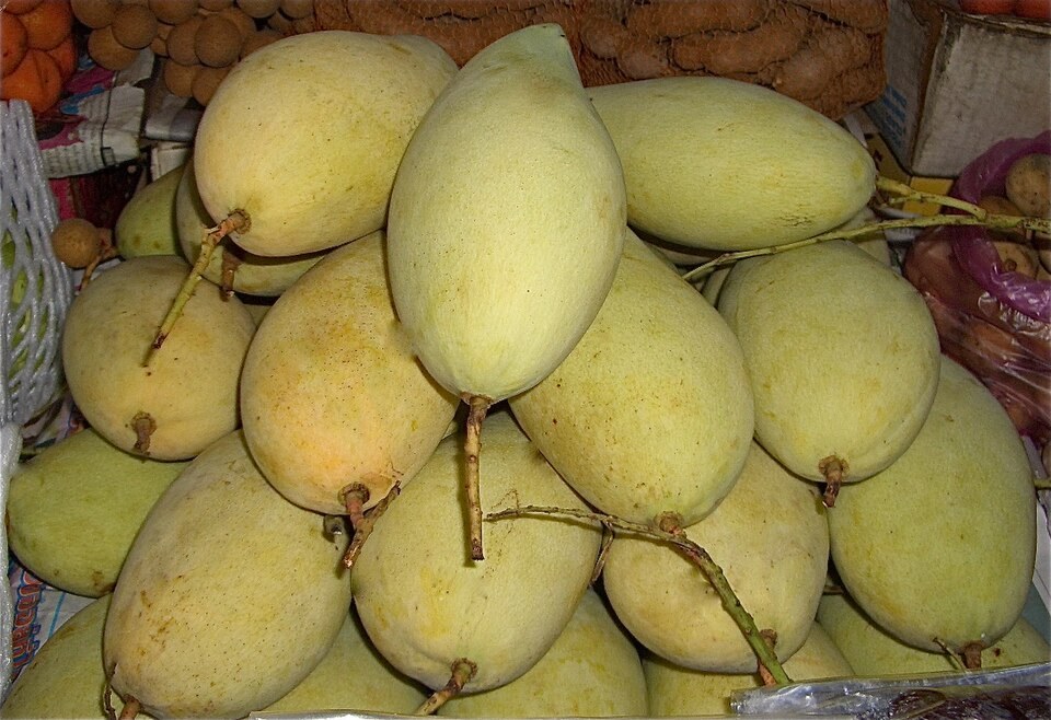Yellow mangoes for sale at Or Tor Kor Market